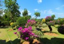熱帶花卉園
