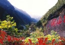 婁山關