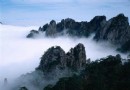 牛棚梁子