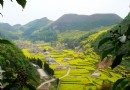 天龍屯堡