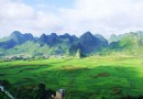 茂蘭喀斯特森林保護區