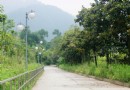 什邡穿心店地震遺址