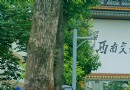 西南交通大學(峨眉校區)