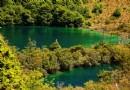 火花海