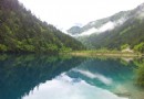 犀牛海