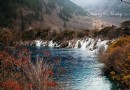 樹正群海