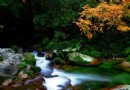 米倉山國家森林公園