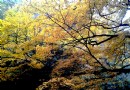 光霧山風景區