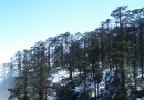 眉山瓦屋山國家森林公園