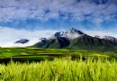 牛心山