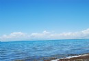青海湖