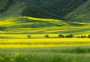 扁都口生態旅游區