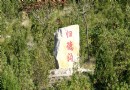 森林公園