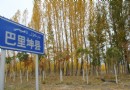 巴裡坤