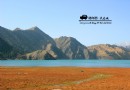 大、小龍池