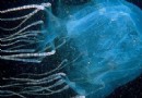 外出旅行時千萬小心的“刺殺高手”