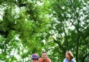了解歐洲從7個關鍵詞開始