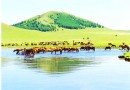 30條旅游省錢妙招 教你做個旅行高手