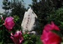 北宮國家森林公園旅游風景區介紹