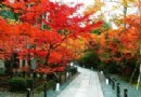 小龍門森林公園旅游風景區介紹