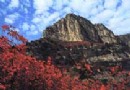 仙台旅游區旅游風景區介紹