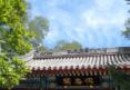 隨感-北京法源寺 