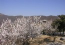 一年四季爬香山 