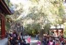 從上海到北京——美食加美景五天四夜完美之旅_北京旅游游記 - 北