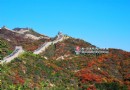秋游金色八達嶺_北京 旅游游記 - 北京游記攻略