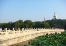 【讓我們蕩起雙槳】——初秋北海畫中游_北京旅游游記 - 北京游記