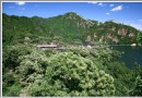 “栗花”飄香水長城! 