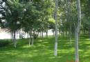 奧林匹克森林公園（南區） 