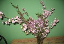 5.1前 北京近郊平谷賞桃花外加登山（石林峽）_北京旅游游記 - 北