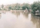 西沽公園旅游風景區介紹