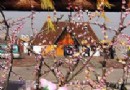 桃源民俗村旅游風景區介紹