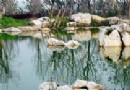 吳淞口炮台灣濕地森林公園旅游風景區介紹