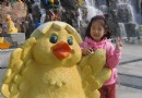 黃金周游東方綠洲 