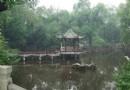 五一上海游（2） 