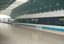 五一上海游 