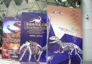上海科技館的恐龍展 