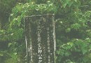 綠蔭軒旅游風景區介紹
