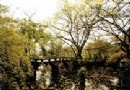 峨嶺公園旅游風景區介紹
