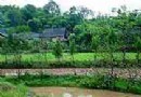 白沙古鎮旅游風景區介紹