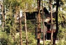 黃山蔣介石官邸旅游風景區介紹