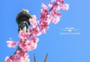 台場(御台場)