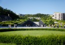 梨花女子大學