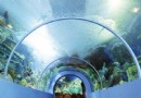 Jeddah Aquarium