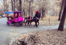 Gorky Park