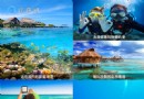 台灣綠島好玩嗎 綠島潛水究竟有多好玩