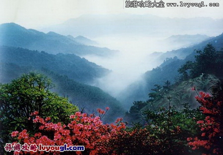 台灣陽明山